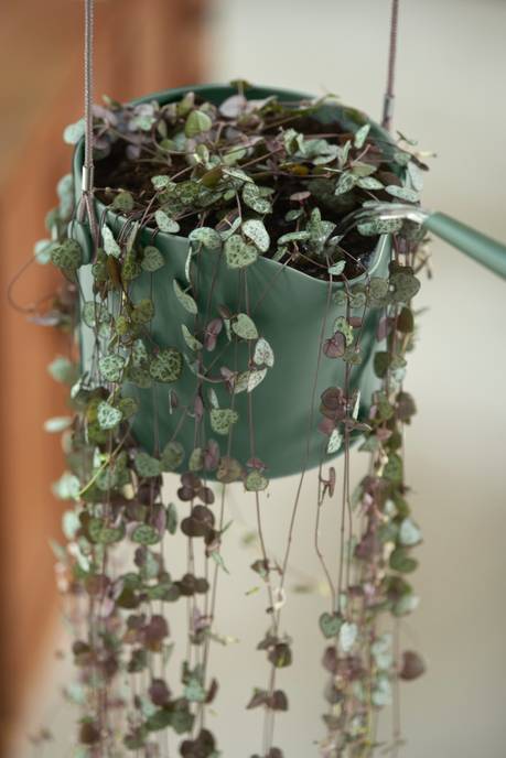 b.for swing 18cm laubgrün